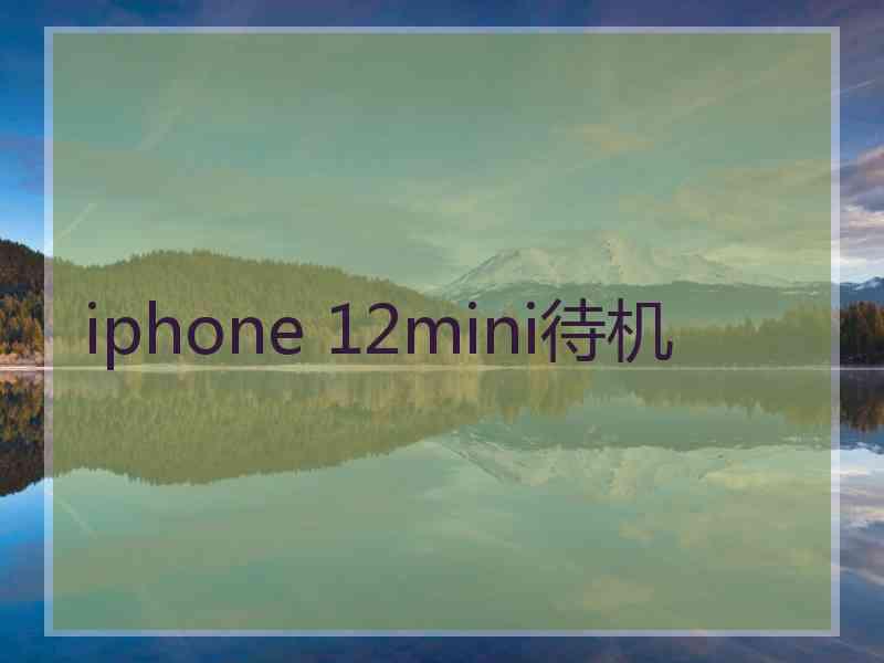 iphone 12mini待机