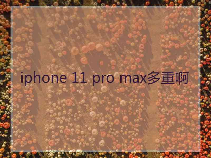 iphone 11 pro max多重啊