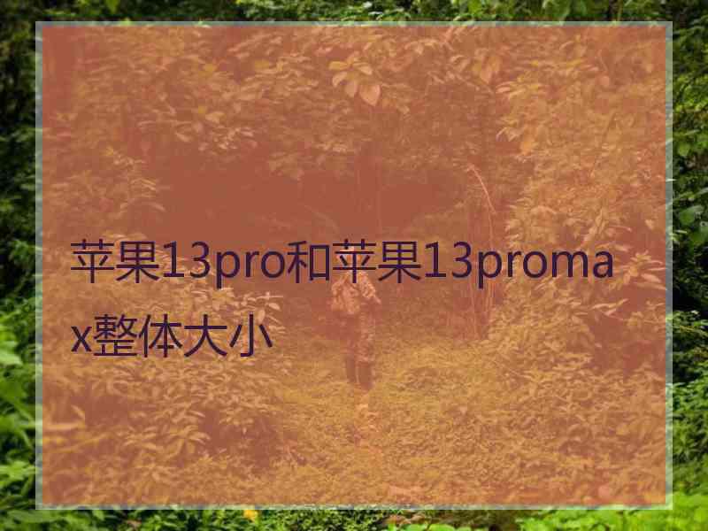 苹果13pro和苹果13promax整体大小