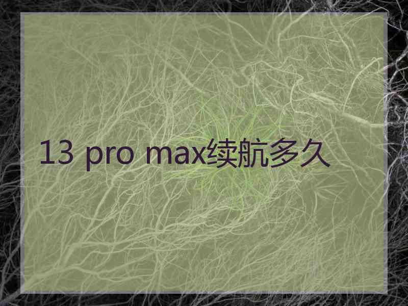 13 pro max续航多久