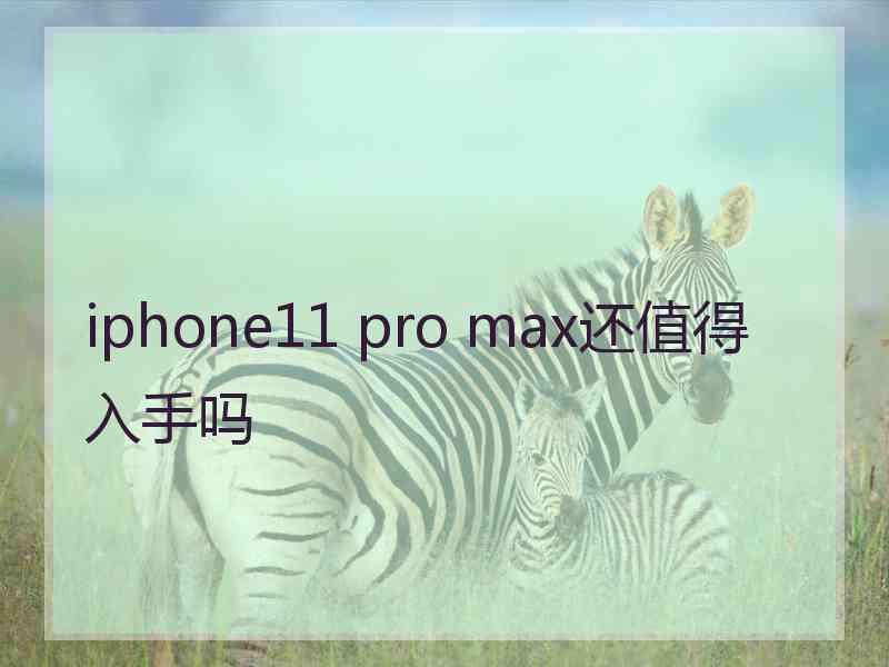 iphone11 pro max还值得入手吗