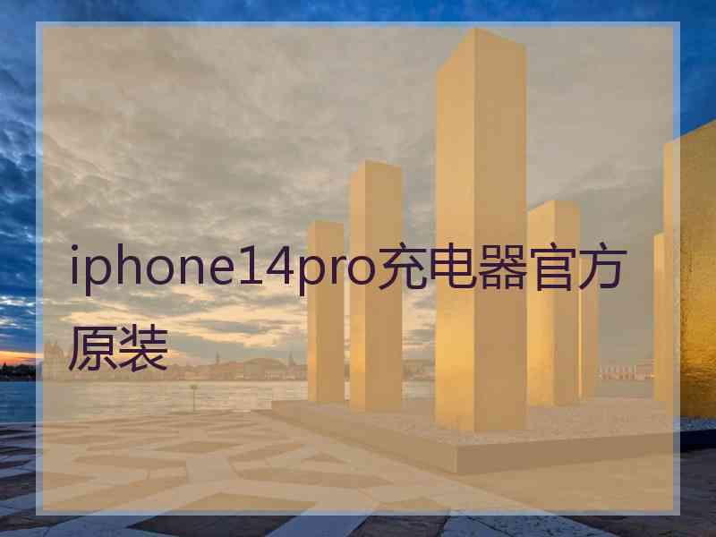 iphone14pro充电器官方原装