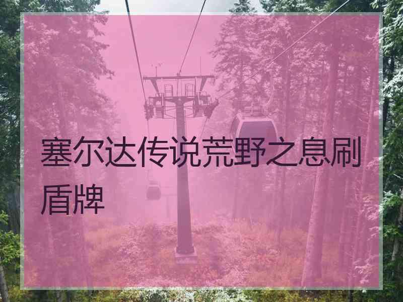 塞尔达传说荒野之息刷盾牌