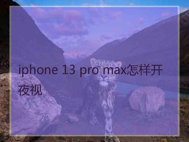 iphone 13 pro max怎样开夜视