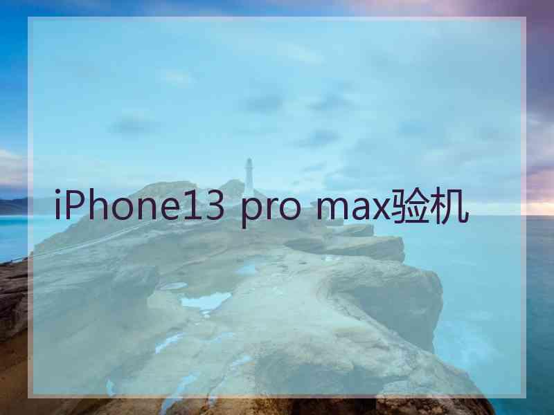 iPhone13 pro max验机