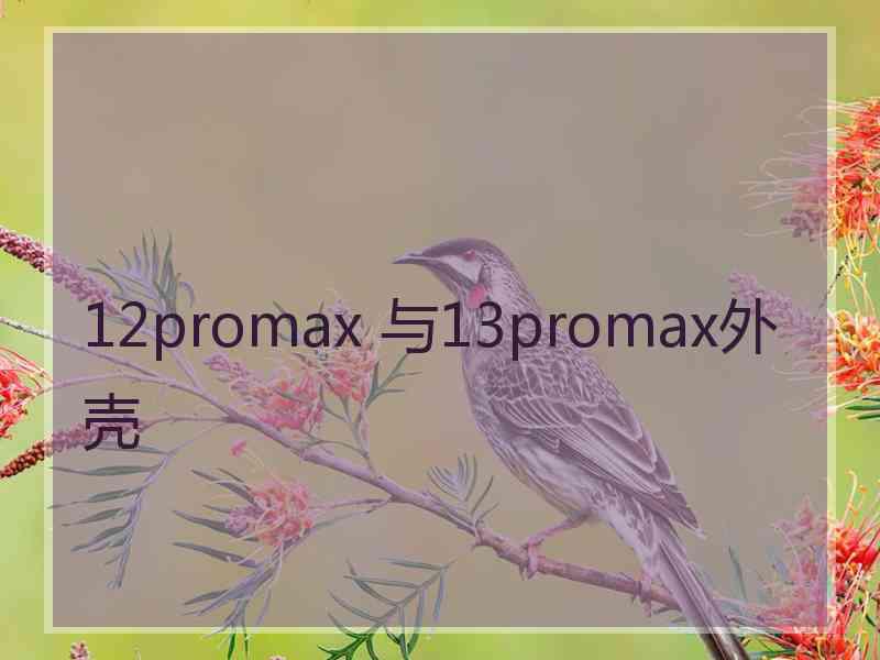 12promax 与13promax外壳