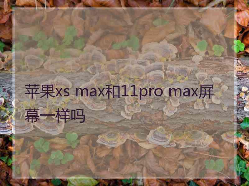 苹果xs max和11pro max屏幕一样吗