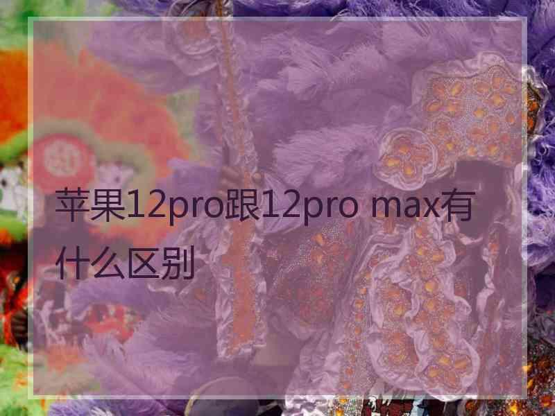 苹果12pro跟12pro max有什么区别