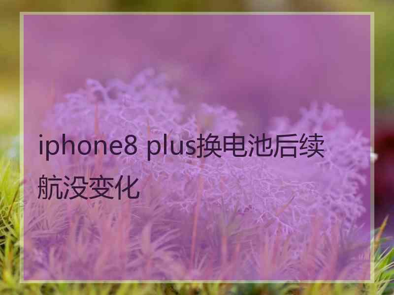 iphone8 plus换电池后续航没变化