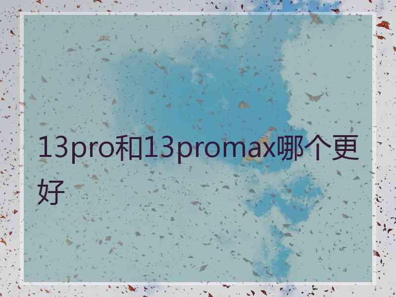 13pro和13promax哪个更好