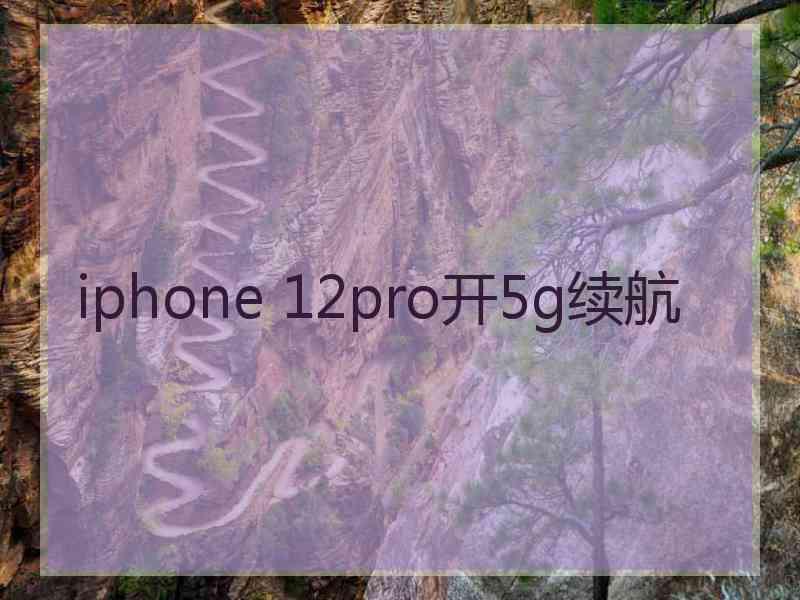 iphone 12pro开5g续航