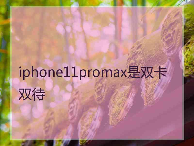 iphone11promax是双卡双待