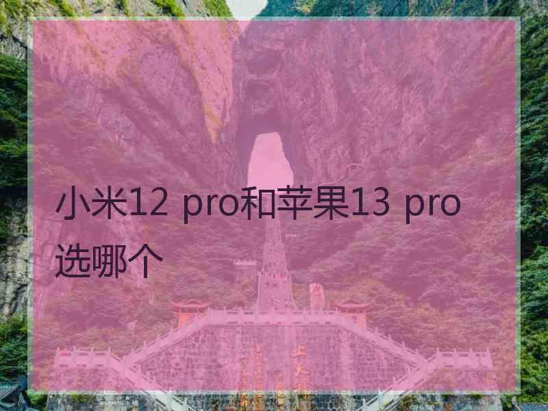 小米12 pro和苹果13 pro选哪个