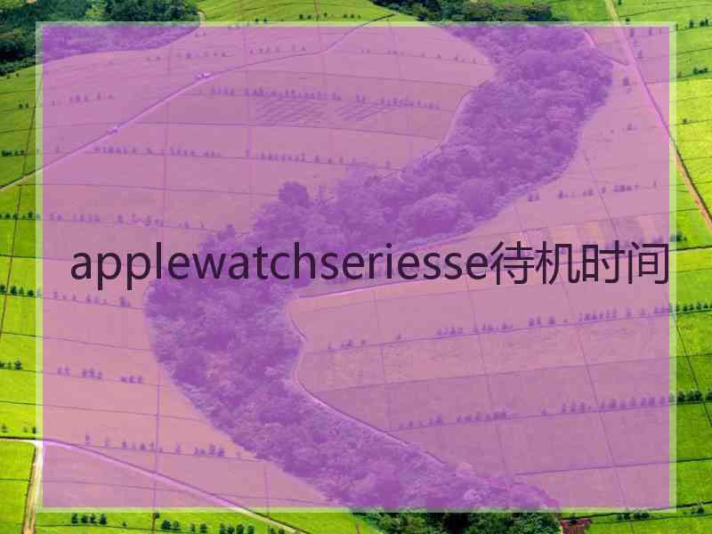 applewatchseriesse待机时间