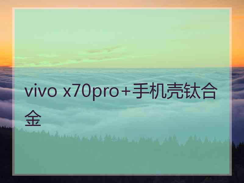 vivo x70pro+手机壳钛合金