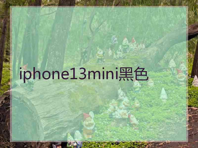 iphone13mini黑色