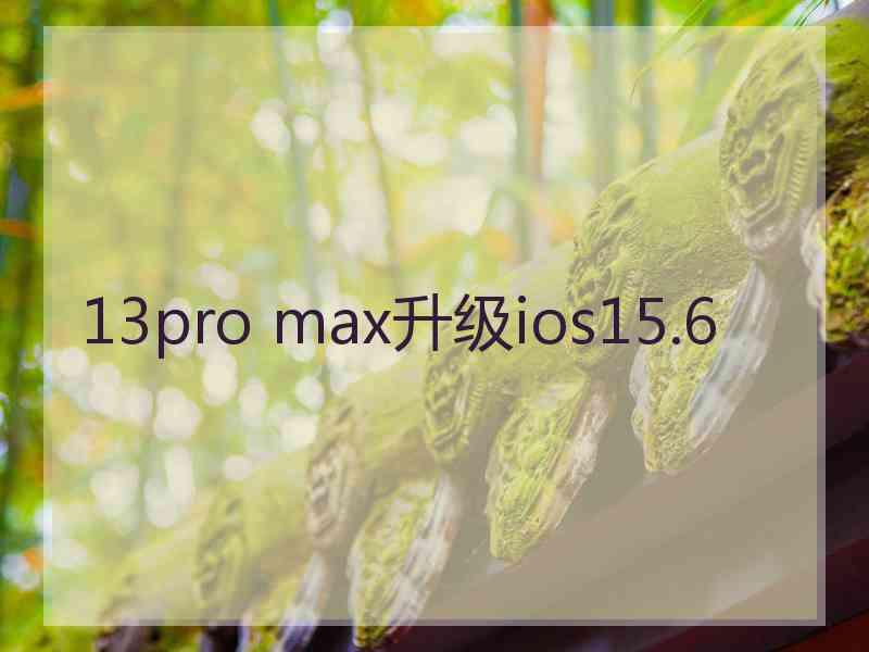 13pro max升级ios15.6