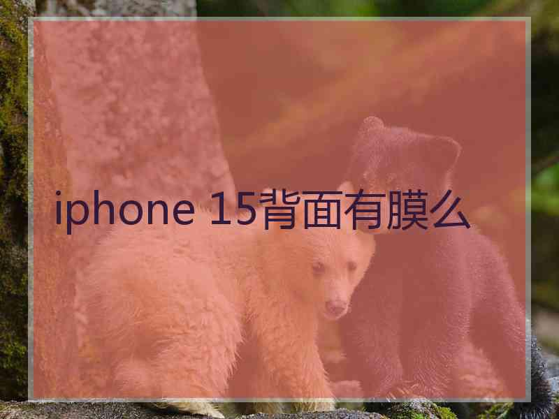 iphone 15背面有膜么