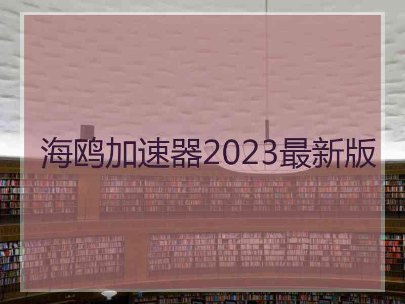 海鸥加速器2023最新版