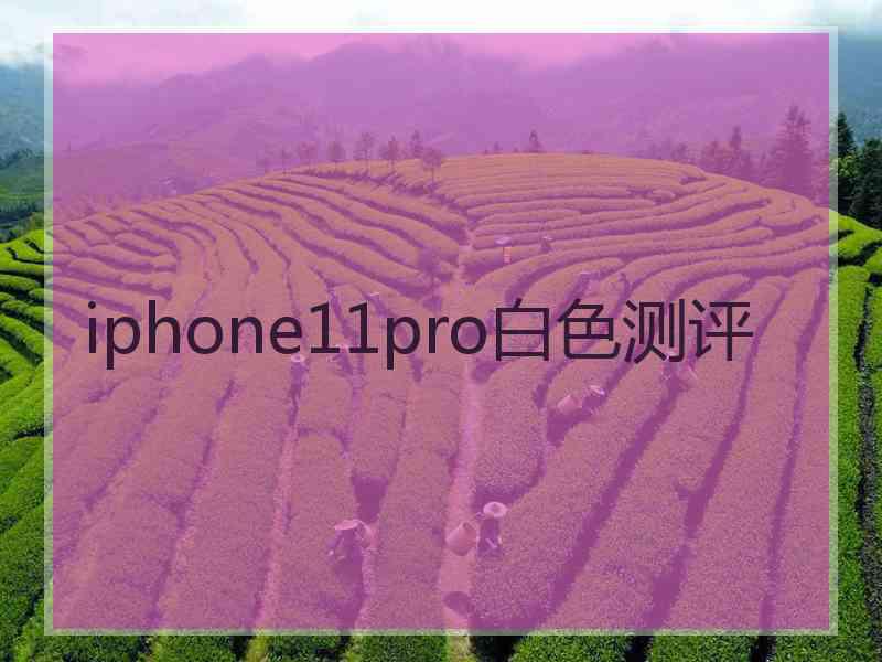 iphone11pro白色测评