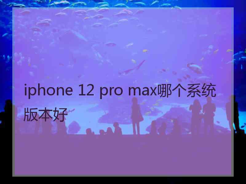 iphone 12 pro max哪个系统版本好