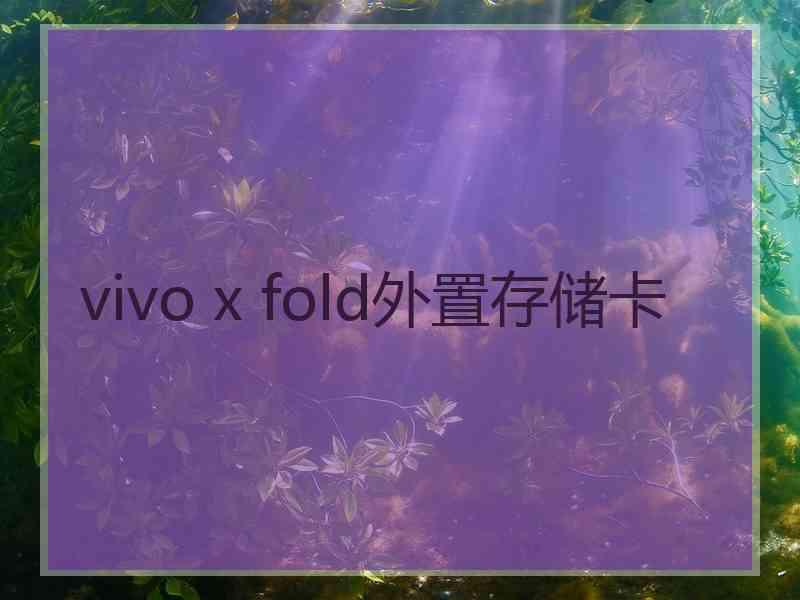 vivo x fold外置存储卡