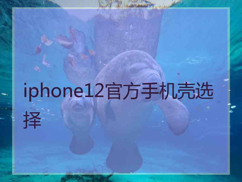 iphone12官方手机壳选择