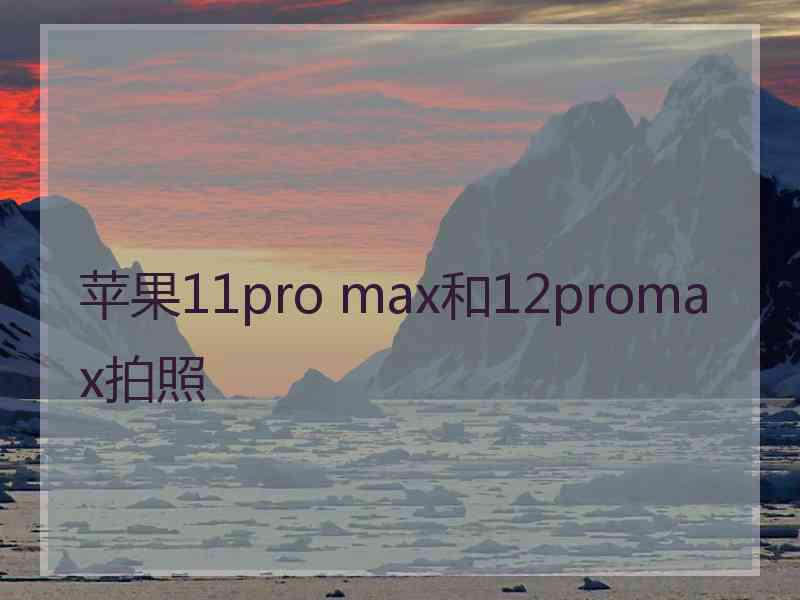 苹果11pro max和12promax拍照