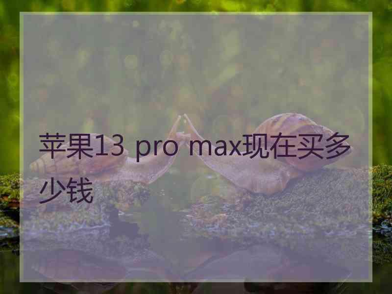 苹果13 pro max现在买多少钱