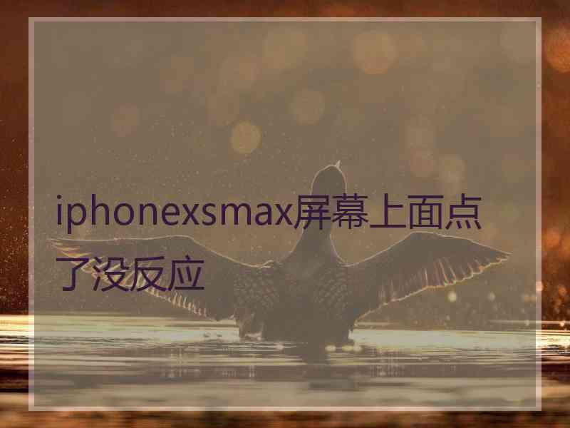 iphonexsmax屏幕上面点了没反应