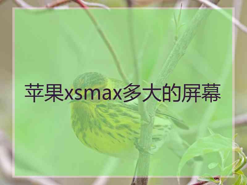 苹果xsmax多大的屏幕