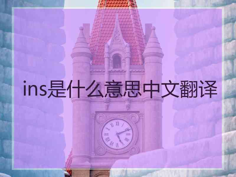 ins是什么意思中文翻译