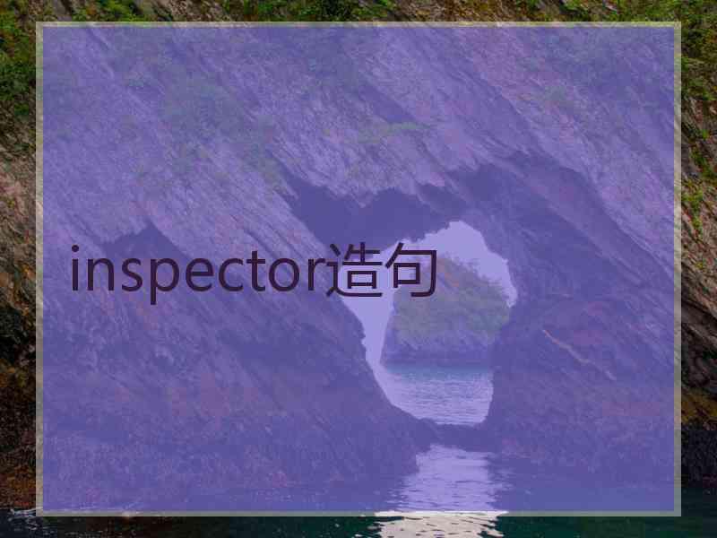 inspector造句