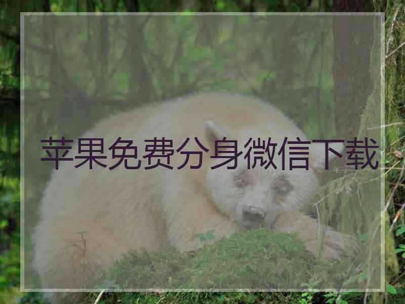 苹果免费分身微信下载