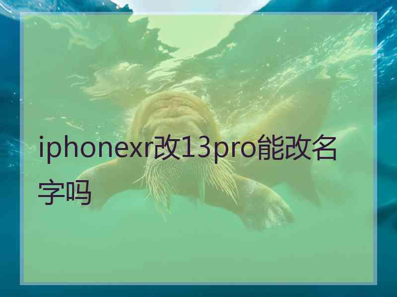 iphonexr改13pro能改名字吗