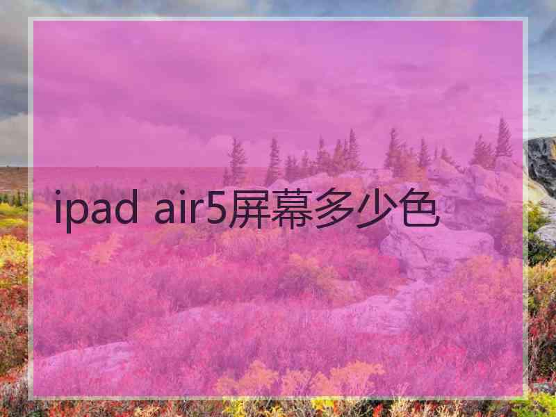 ipad air5屏幕多少色