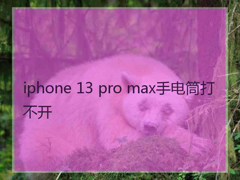 iphone 13 pro max手电筒打不开