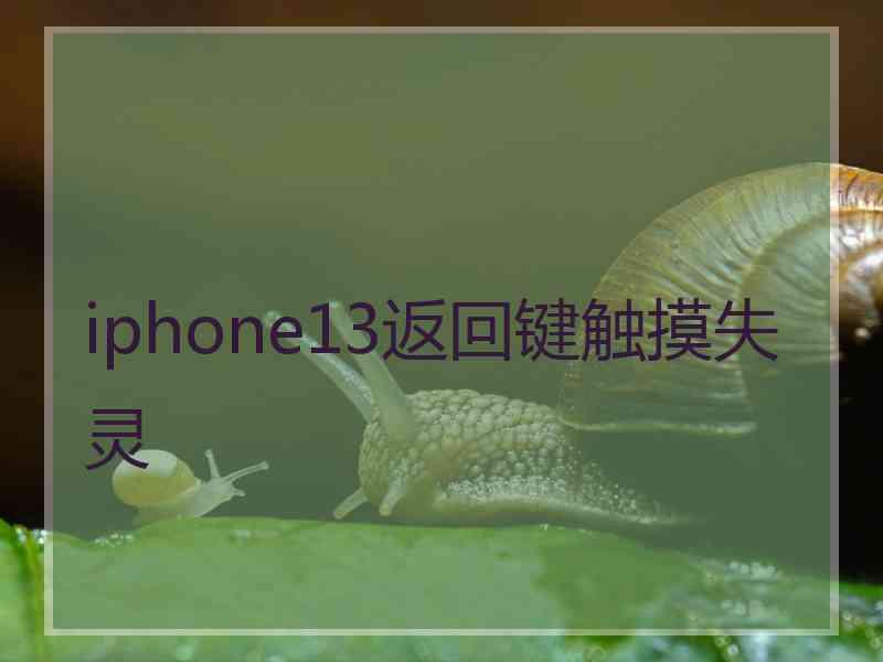 iphone13返回键触摸失灵