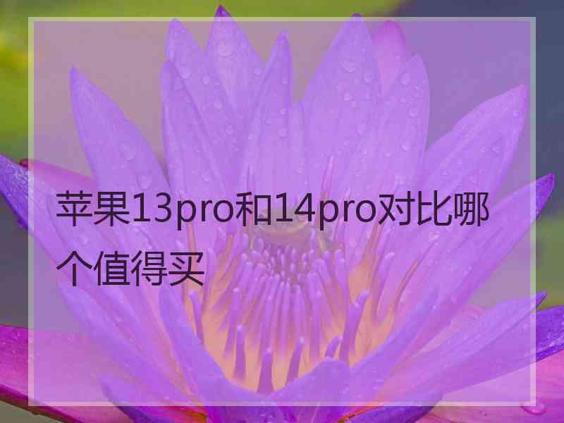 苹果13pro和14pro对比哪个值得买