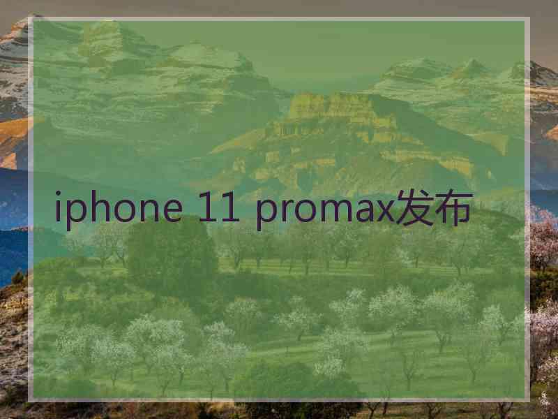 iphone 11 promax发布