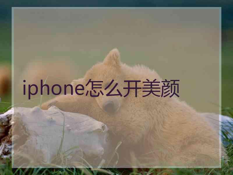 iphone怎么开美颜