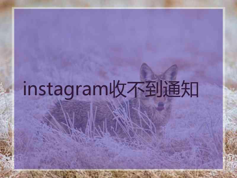 instagram收不到通知