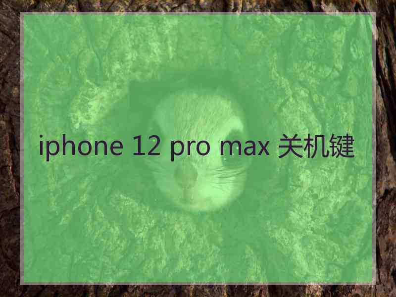 iphone 12 pro max 关机键