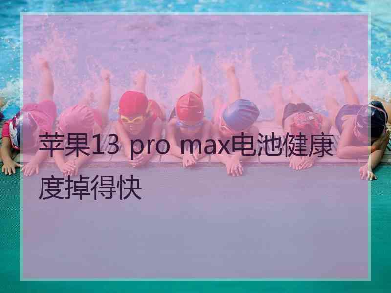 苹果13 pro max电池健康度掉得快