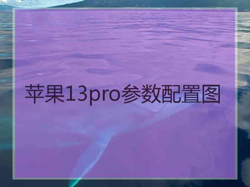 苹果13pro参数配置图