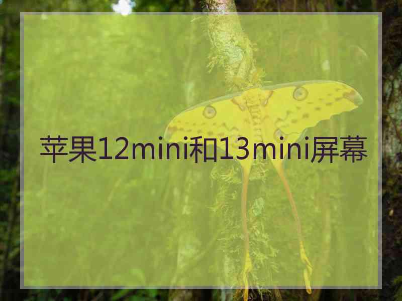 苹果12mini和13mini屏幕