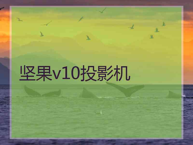 坚果v10投影机