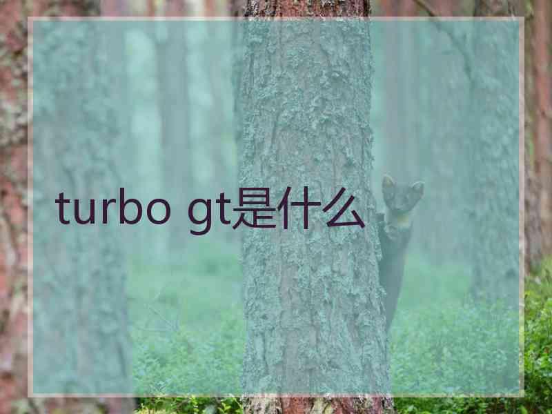 turbo gt是什么