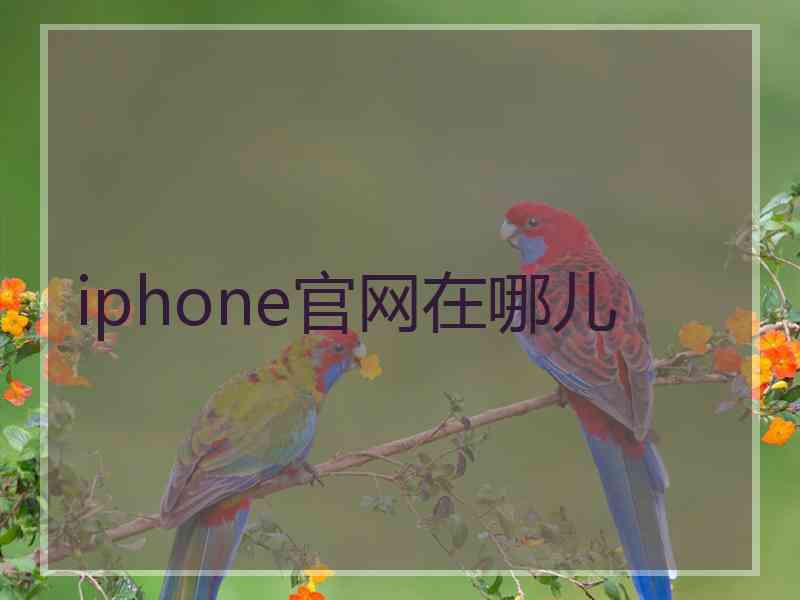 iphone官网在哪儿