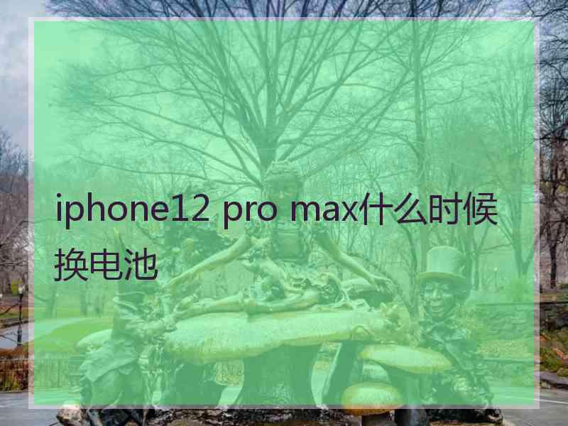 iphone12 pro max什么时候换电池